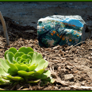 Planta un pino en medio de la calle