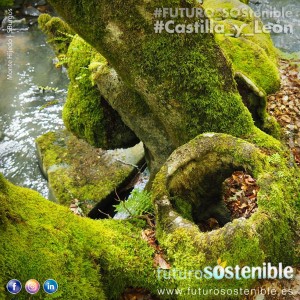 BURGOS. Monte Hijedo